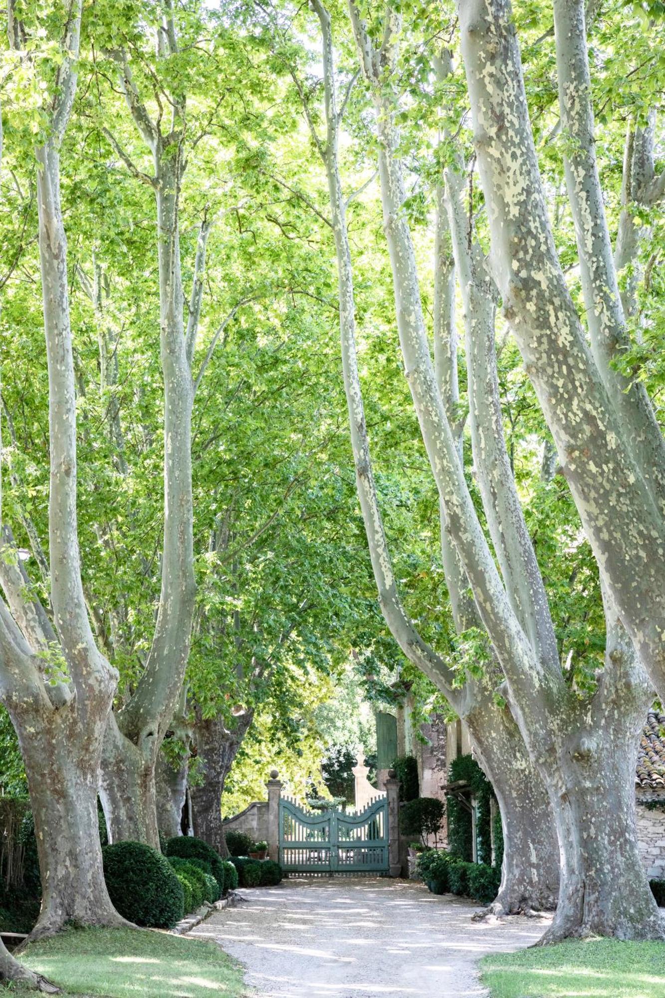 Domaine De Chalamon Bed and Breakfast Saint-Rémy-de-Provence Εξωτερικό φωτογραφία